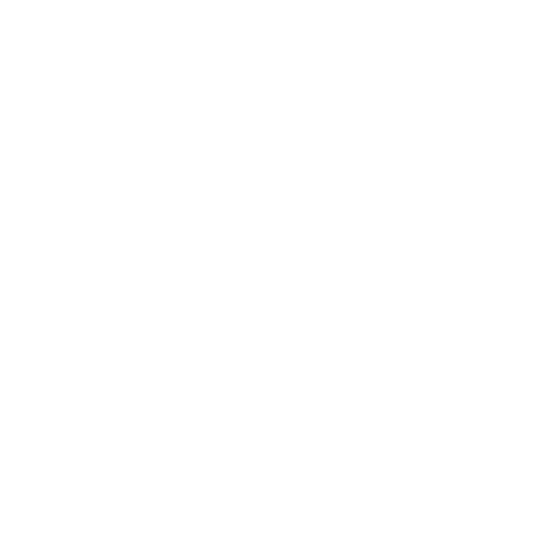 C++